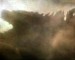 The New Godzilla Movie Will Be Released One Year From Today