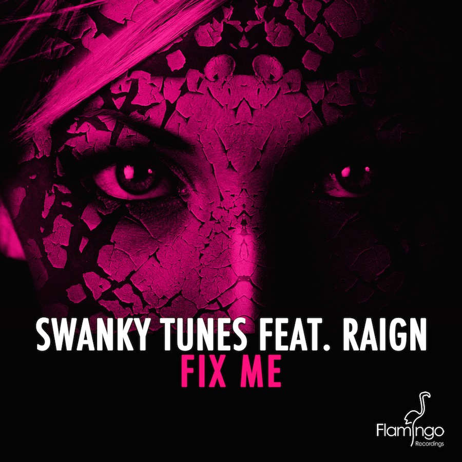 SwankyTunes ft. Raign - small Fix Me 2400x2400