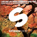 I Am Oak – On Trees & Birds & Fire (Sam Feldt & Bloombox Remix)