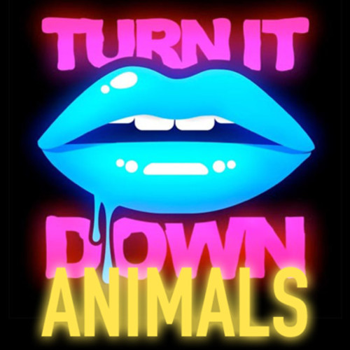 Kaskade vs. Martin Garrix – Turn It Down Animals (Kaskade Mash-Up) [Freebie]