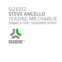 Steve Angello – Teasing Mr Charlie (Sebjak & Tony Senghore Remix) [Freebie]